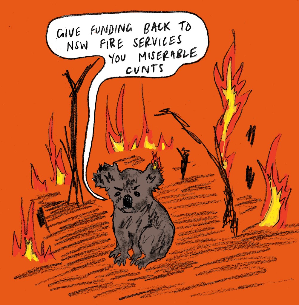 A charred koala sits in the middle of a blackened landscape, everything on fire, including its fluffy ear. A speech bubble above its very pissed off head says, "Give funding back to NSW fire services you miserable cunts".