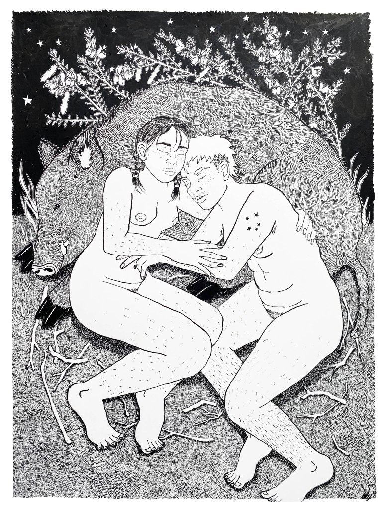 A black and white ink drawing of two girls lying curled together against the side of a large feral pig under a night sky. Behind them is the scotch broom plant, heavy with seed pods, and beneath the three beings there are broken twigs as white as bones. One of the girls has the tattoo of the Southern Cross star system on her bicep, whilst the real southern cross overhead is tangled amongst the branches of the weeds.